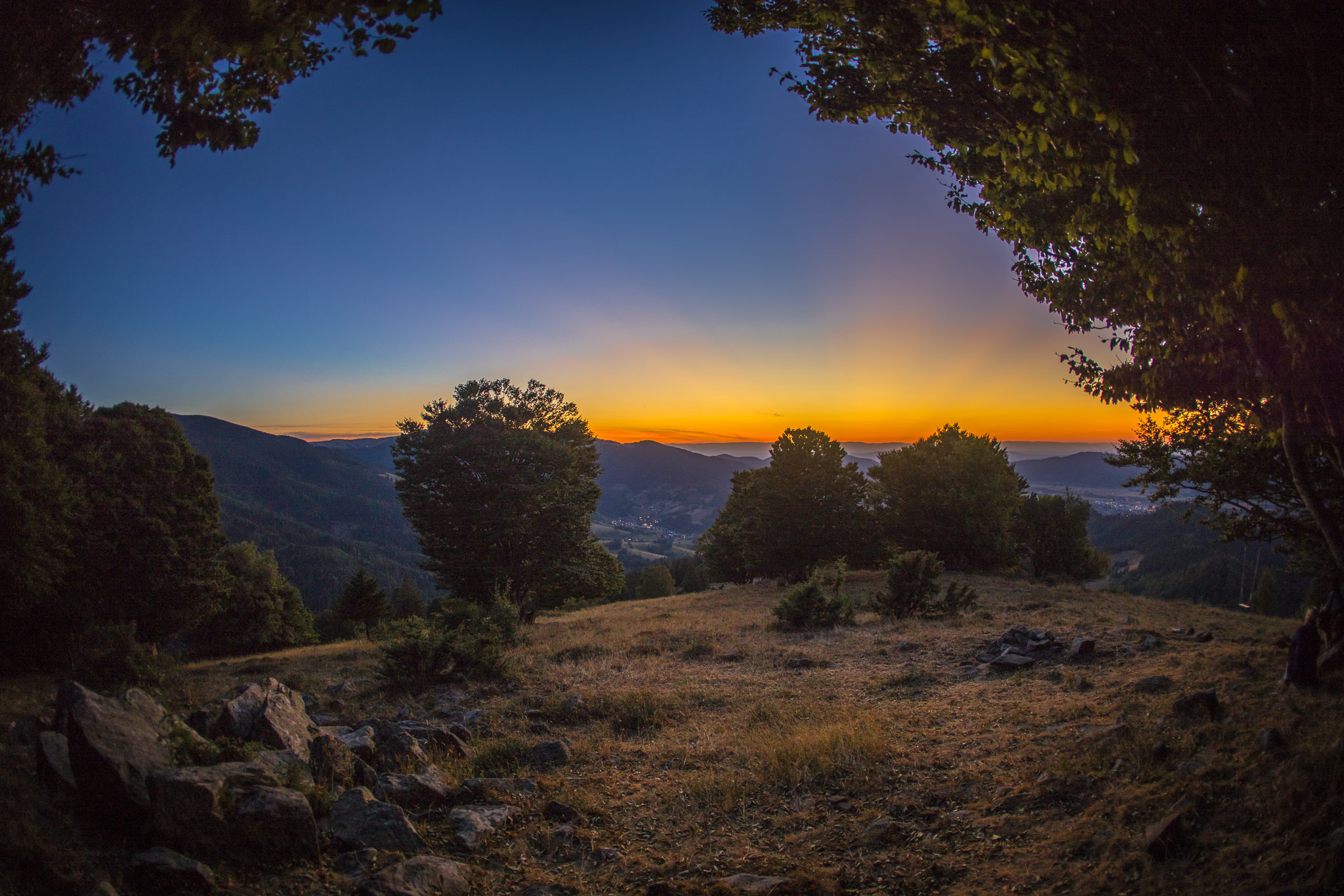 20220813210857 R5D 7146